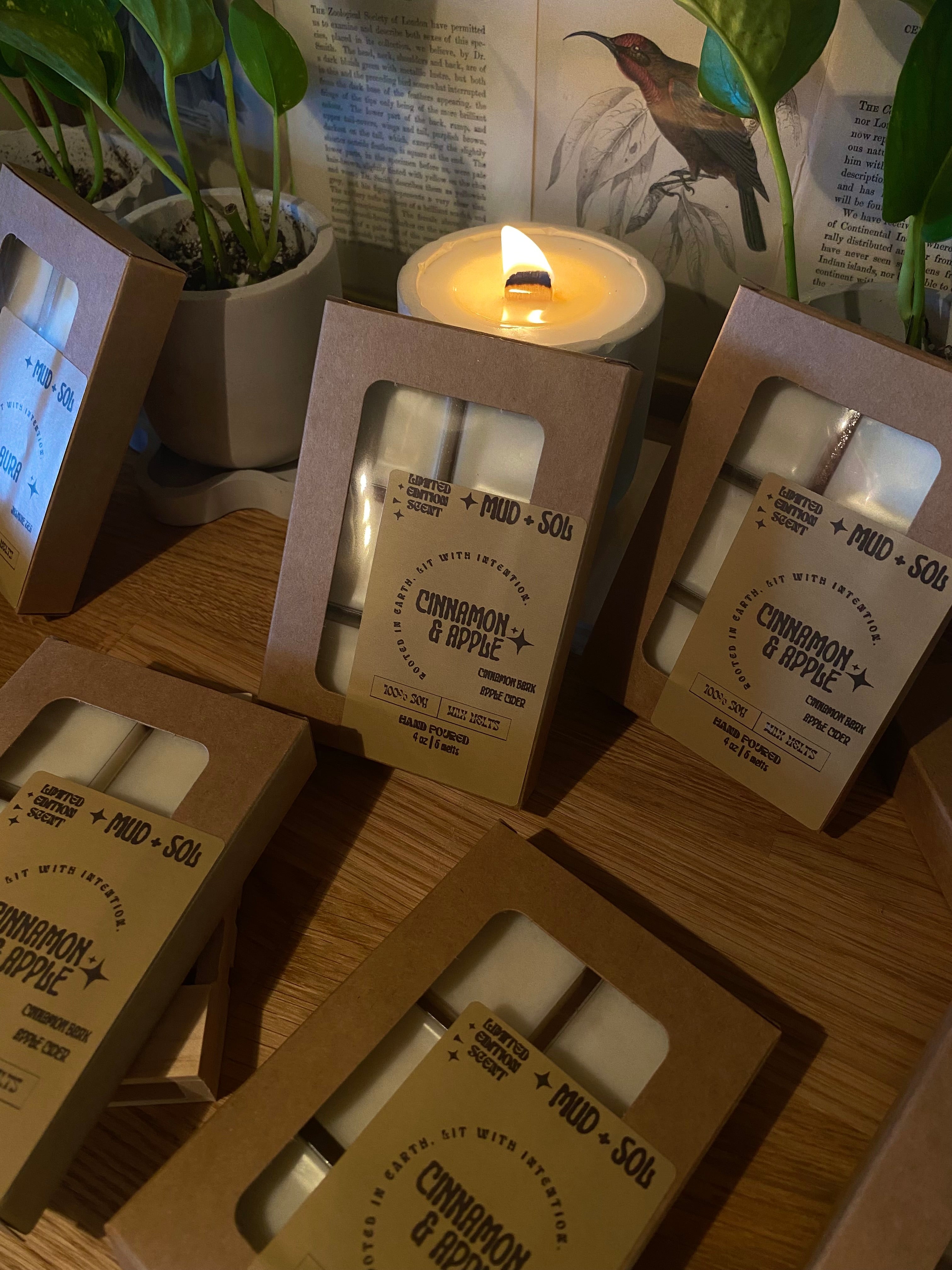 Mud + Sol Wax Melts
