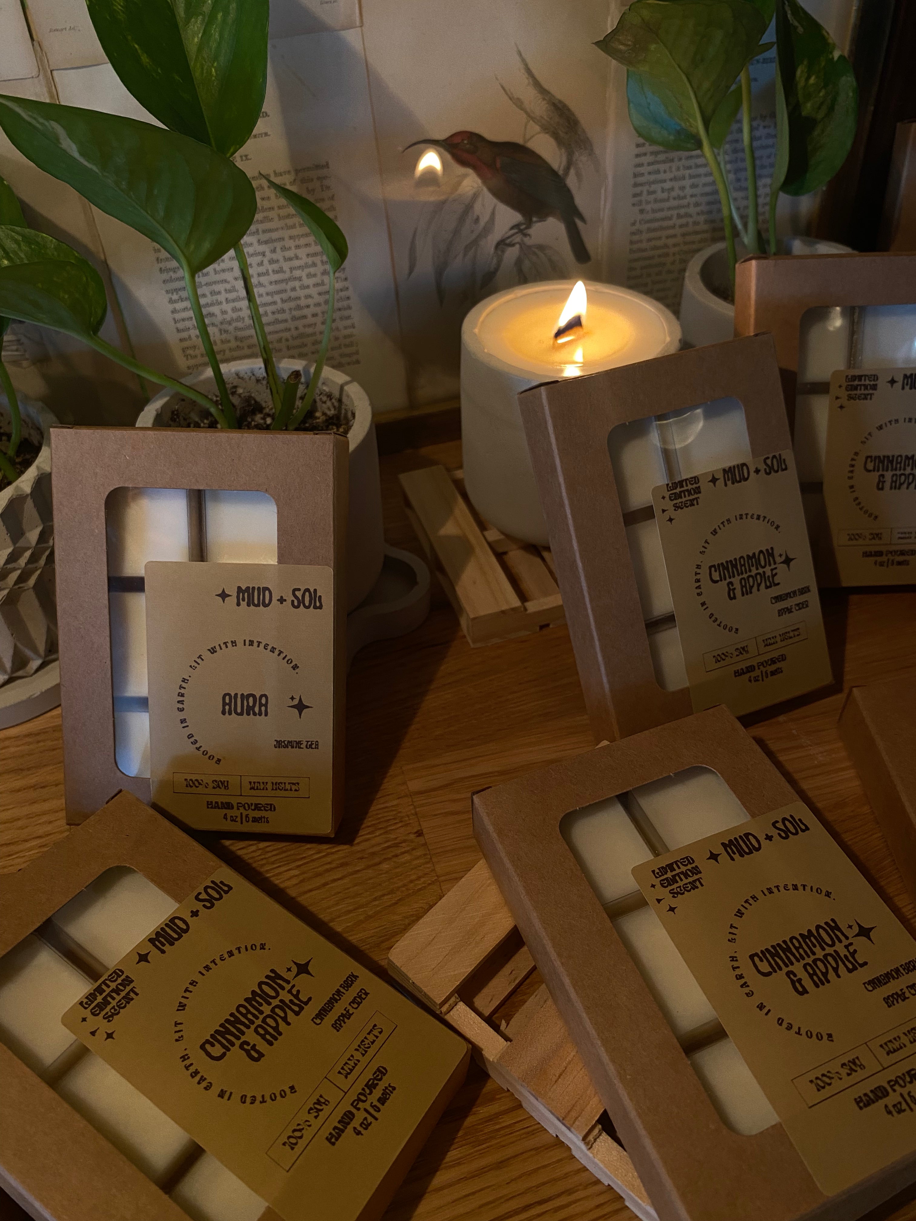Mud + Sol Wax Melts